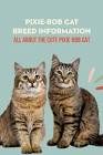 猫品种图像分类数据集 样本 3