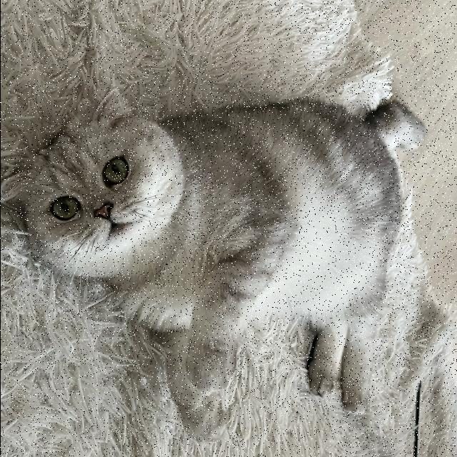猫目标检测数据集 v4（COCO 格式） 样本 4