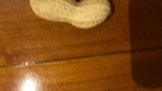 花生数据集 样本 5