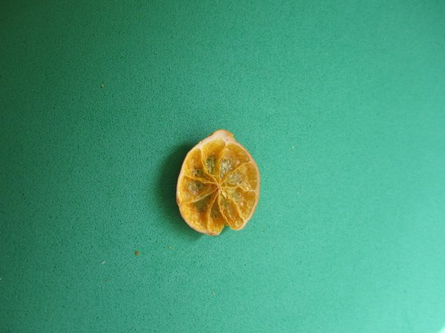 干燥柑橘图像数据集 样本 3