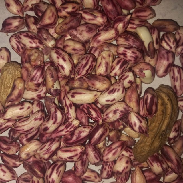 花生洁净度二分类图像数据集 样本 5