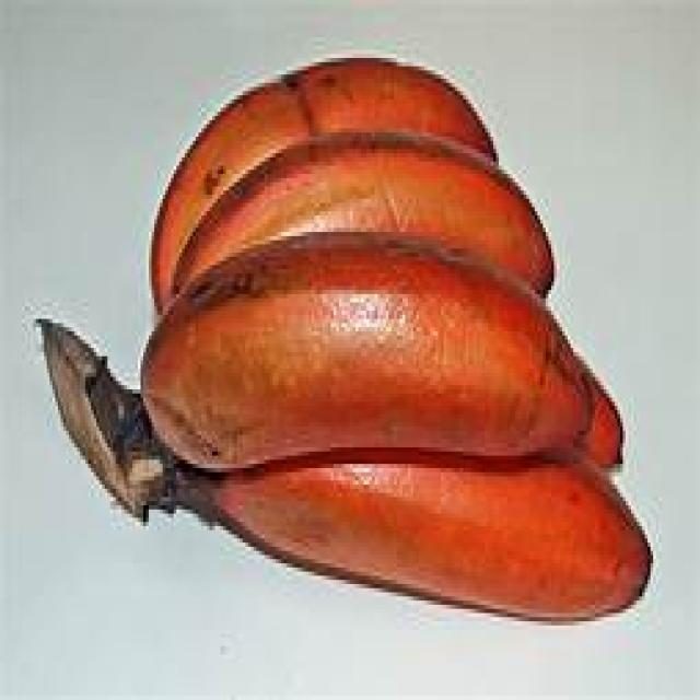香蕉目标检测数据集(COCO 格式) 样本 5