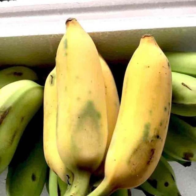 香蕉目标检测数据集（COCO 格式）（1） 样本 3