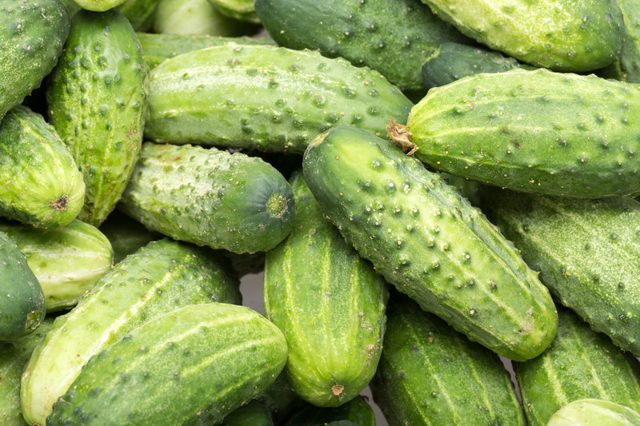 水果与蔬菜分类图像数据集(36 类) 样本 3