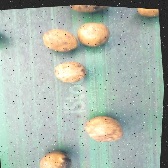 土豆目标检测数据集 v10(COCO 格式) 样本 4