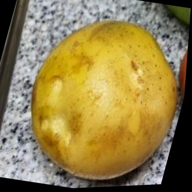 土豆目标检测数据集(COCO 格式) 样本 6