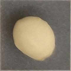 大豆种子品质检测数据集（COCO 格式） 样本 3