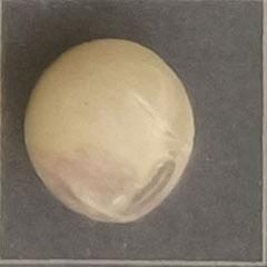 大豆种子品质检测数据集（COCO 格式） 样本 6